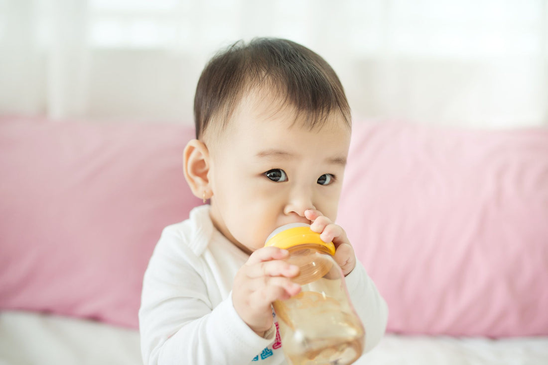 The Potty Training Manual: How to Turn Your Baby Into a Potty Pro