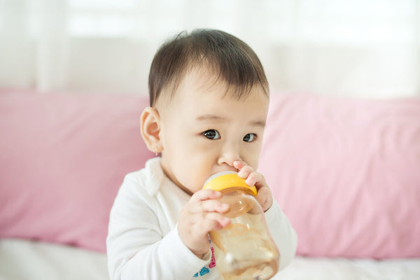 The Potty Training Manual: How to Turn Your Baby Into a Potty Pro