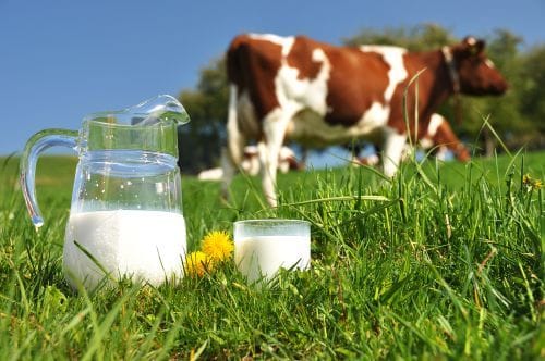 Is your Baby facing Cow's Milk Allergies?