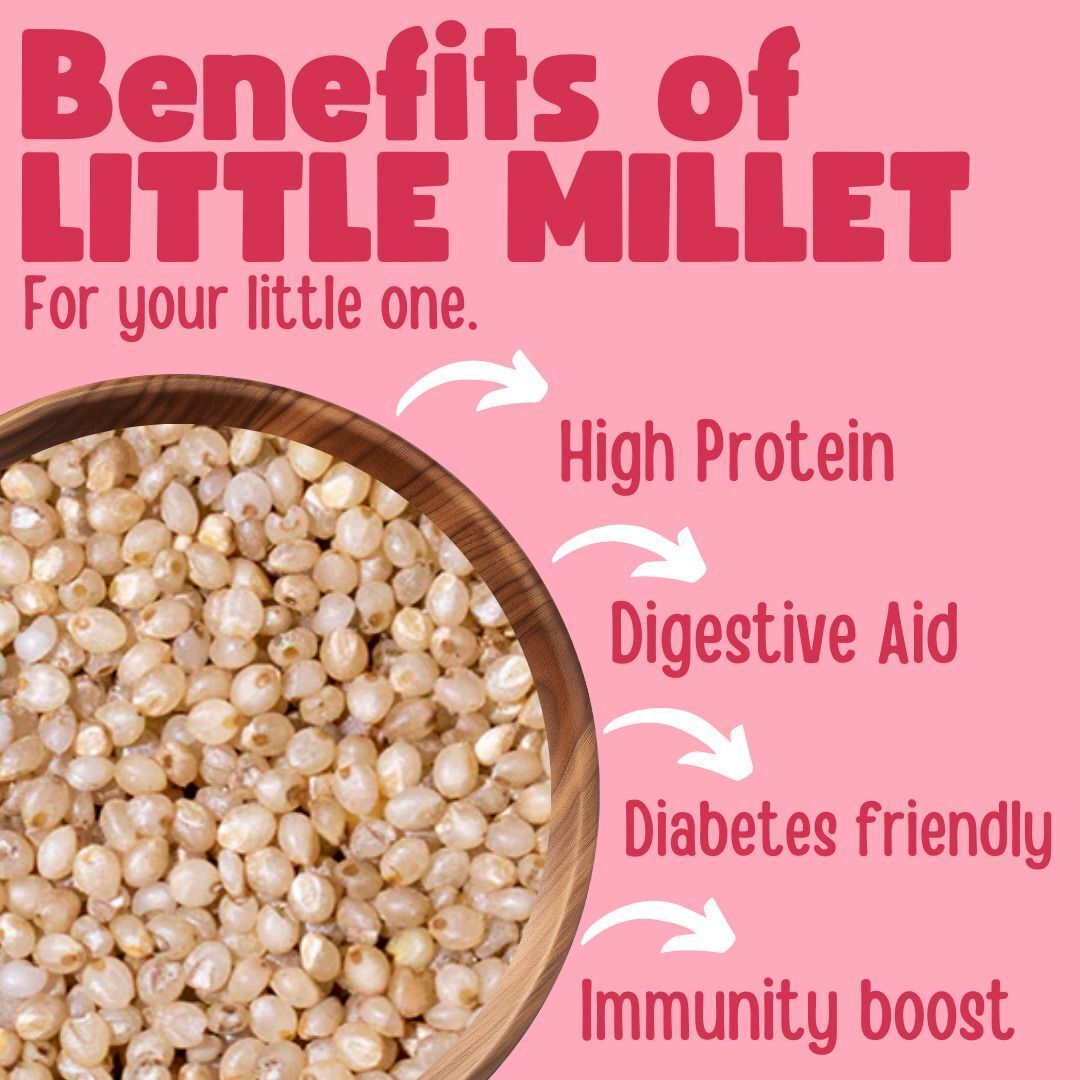 Tummy Friendly Foods Little Millet (Each pack 100g)