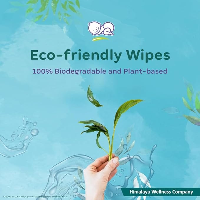 Himalaya NATURE TOUCH WATER WIPES,72 Wipes - Pack of 1