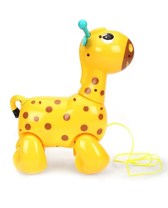 Nico the Giraffe