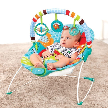 Soothing Vibration Bouncer