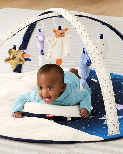 Skip Hop Celestial Dreams Activity Gym, Multi