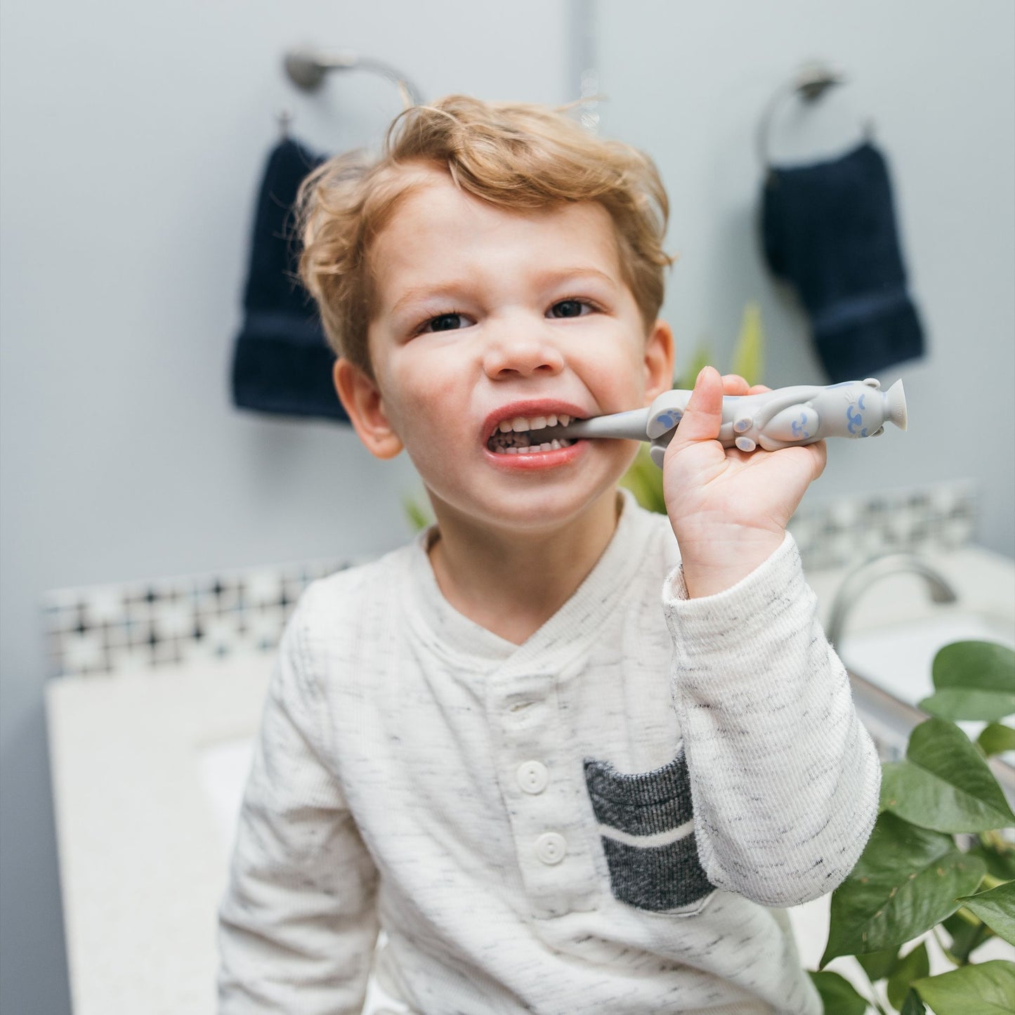 Dr. Brown's Infant-To-Toddler Manual Toothbrush, Gray - 1.00 Count
