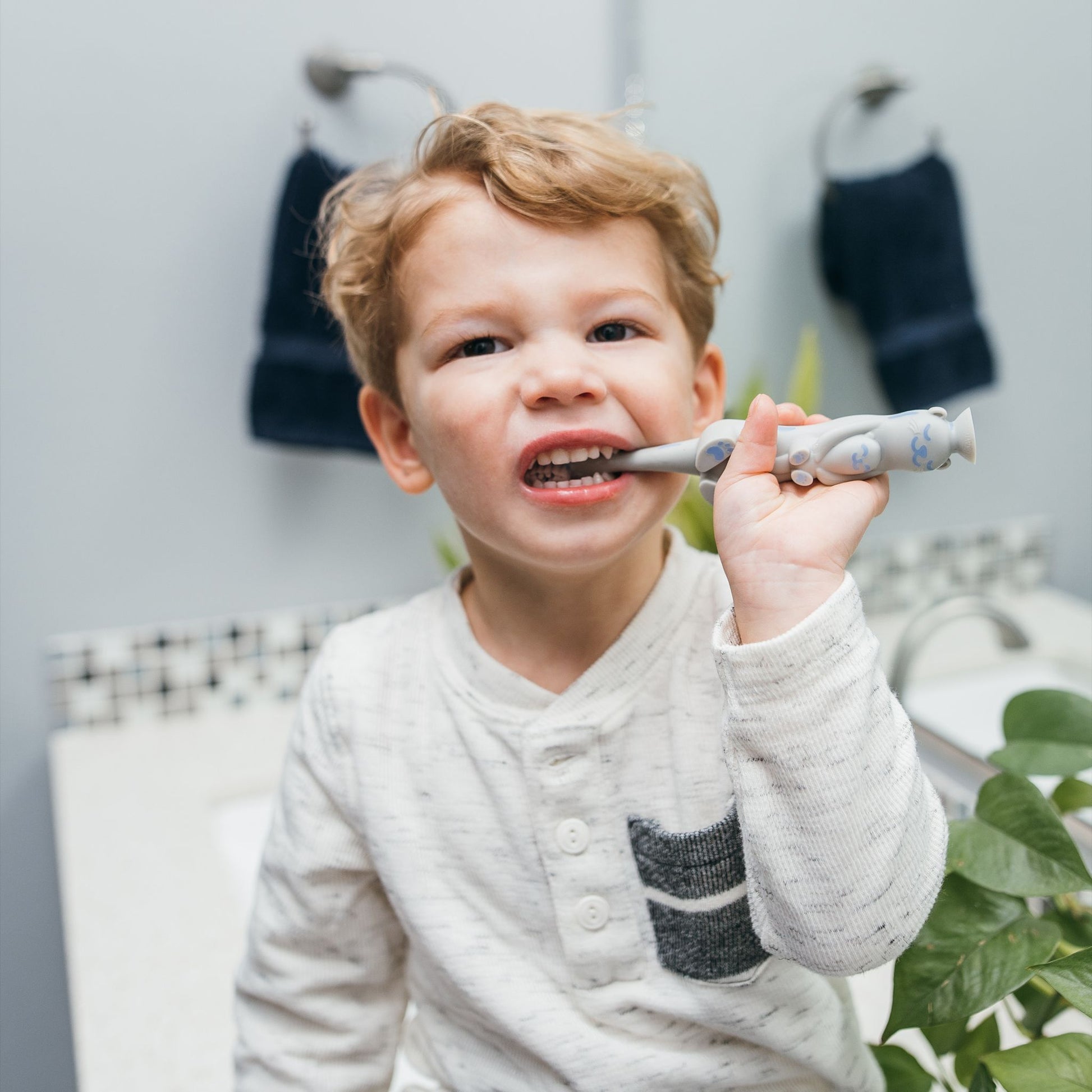 Dr. Brown's Infant-To-Toddler Manual Toothbrush, Gray - 1.00 Count