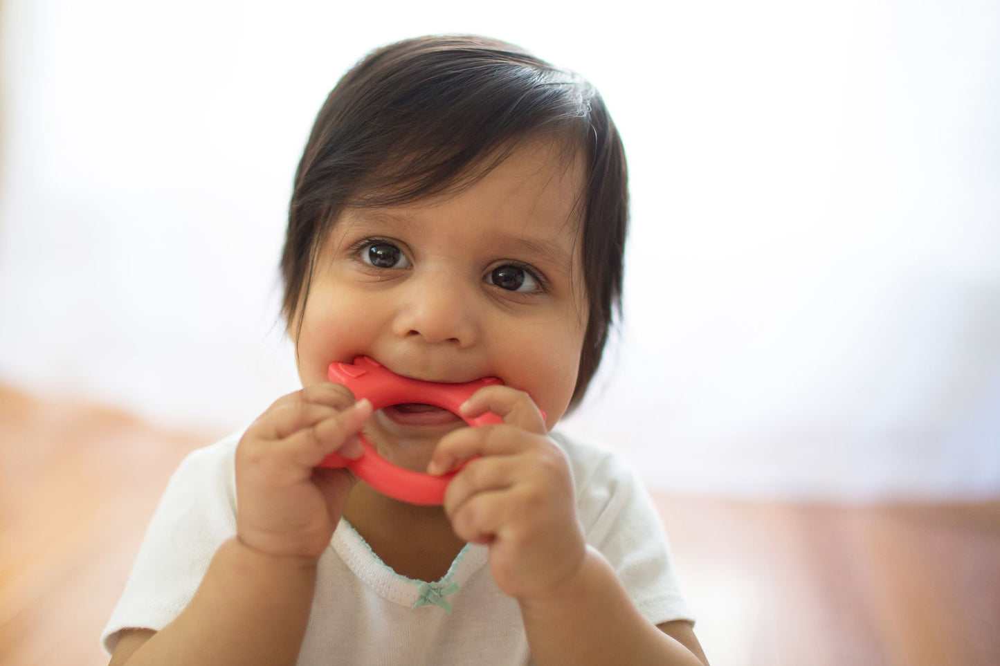 Dr. Brown's Flexees Friends Silicone Teether, Orange Fox