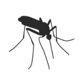Mosquito Bites