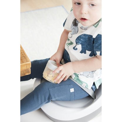 Skip Hop Explore & More Grow Along 4-in-1 Activity Walker