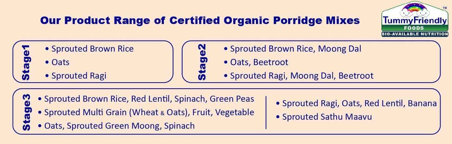 Tummy Friendly Foods Porridge Mixes (6-8 Months,550 g, Pack of 11)