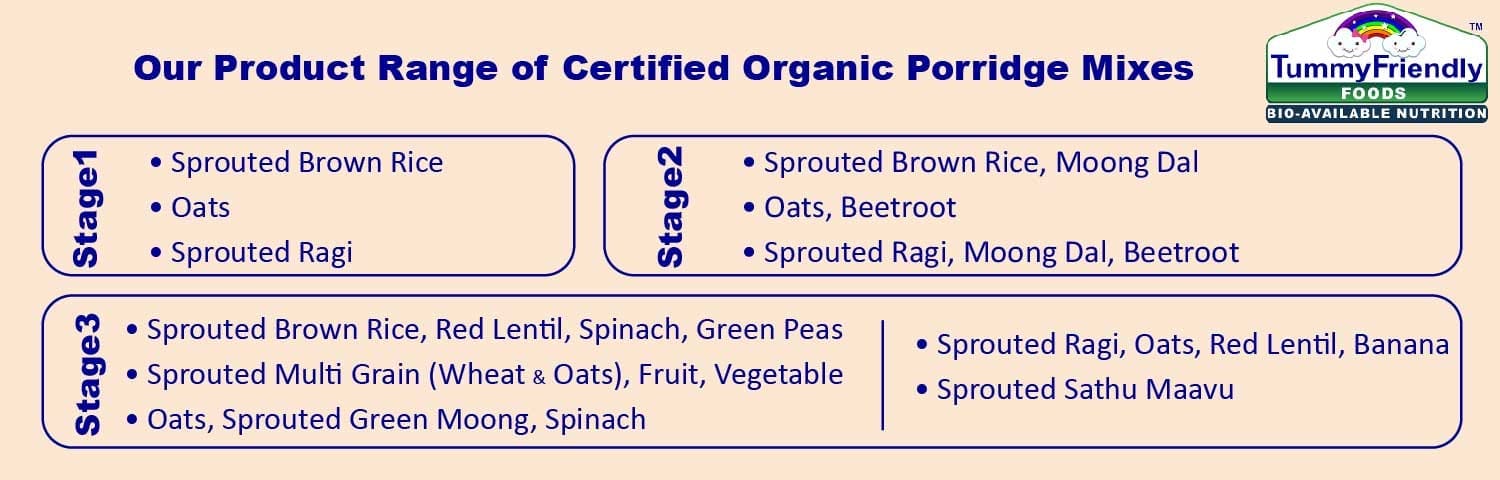 Tummy Friendly Foods Porridge Mixes (6-8 Months,550 g, Pack of 11)