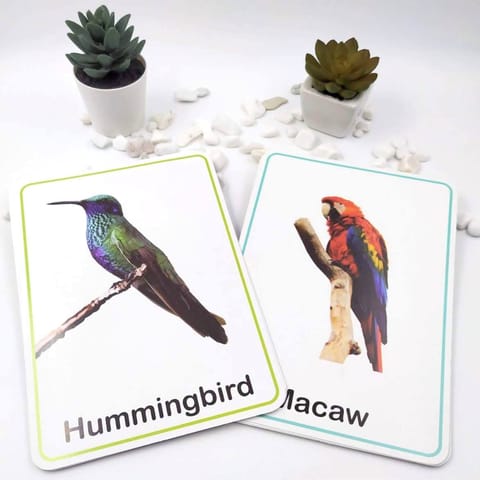 Animals & Birds Flash card