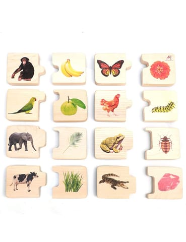 Ariro Toys Chunky Puzzle- Feed The Animals(16 Chunks)