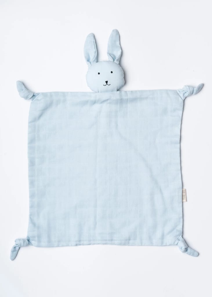 Aariro Cuddle cloth - Baby Blue