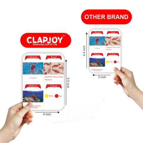 Clapjoy Sea Creature flash card for kids of age 2 years and Above