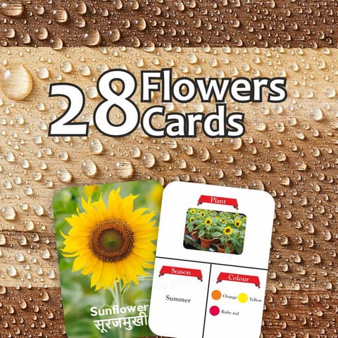 Clapjoy Flowers flash card for kids of age 2 years and Above