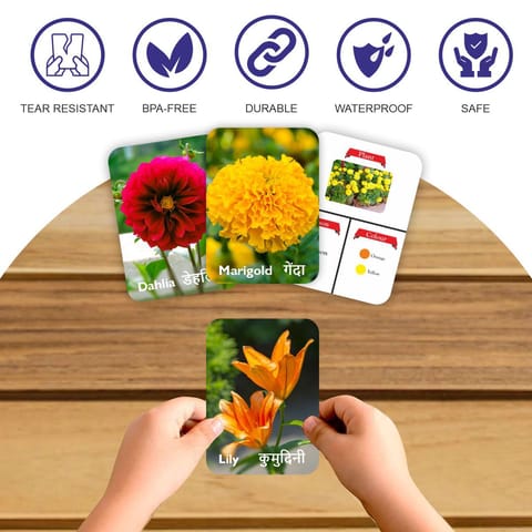 Clapjoy Flowers flash card for kids of age 2 years and Above