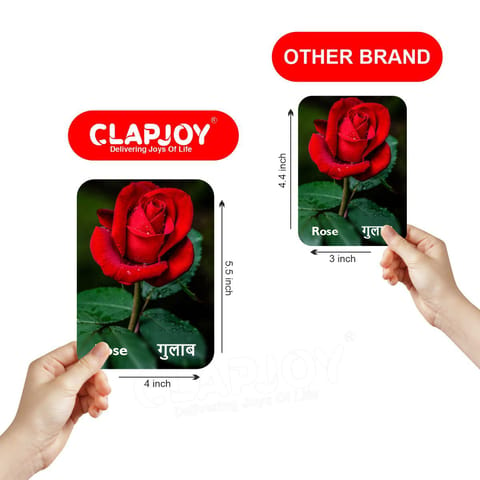 Clapjoy Flowers flash card for kids of age 2 years and Above