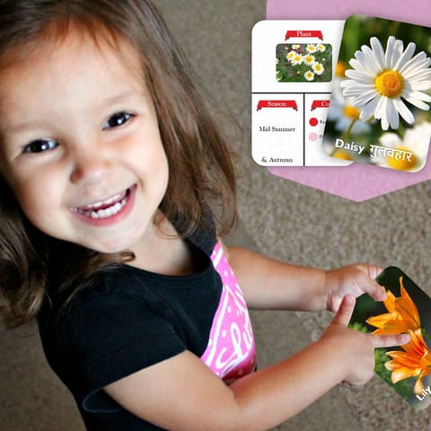 Clapjoy Flowers flash card for kids of age 2 years and Above