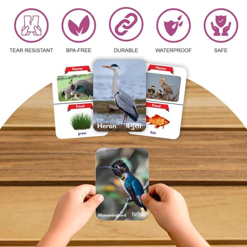 Clapjoy Brids flash card for kids of age 2 years and Above