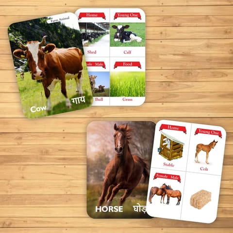 Clapjoy Animals flash card for kids of age 2 years and Above