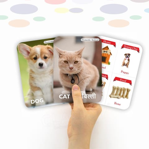 Clapjoy Animals flash card for kids of age 2 years and Above