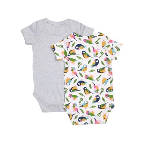 Greendigo Baby Boy Organic Cotton Bodysuits - Cool Tropics - Pack of 2