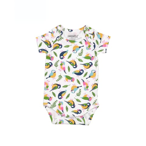 Greendigo Baby Boy Organic Cotton Bodysuits - Sweet Summertime - Pack of 3