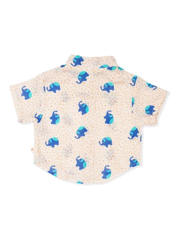 Greendigo Organic Cotton Half Sleeve Shirt for New Born Baby Boys
