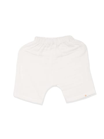 Greendigo 100% Organic Cotton Half Sleeve Shirt and Short Set for New Born Baby Boys