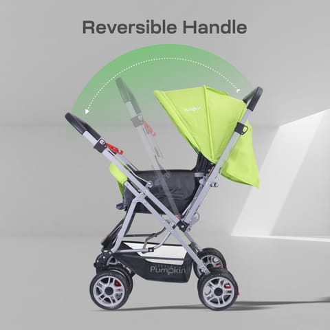 R for Rabbit Kiddie Kingdom Stroller - 3 Position Recline, Easy Fold, Reversible Handle, Rear Wheel Brakes Green Black