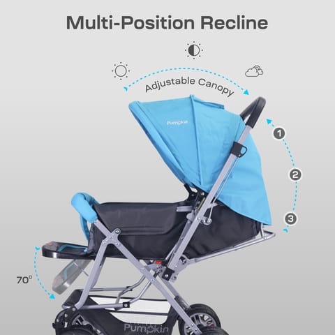 R for Rabbit Kiddie Kingdom Stroller - 3 Position Recline, Easy Fold, Reversible Handle, Rear Wheel Brakes Blue Black