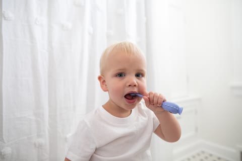 Dr. Brown's Toothscrubber Toddler Toothbrush, Bpa Free, Ages 1-4, Monster Design Manual Brush, 1 Count, Purple