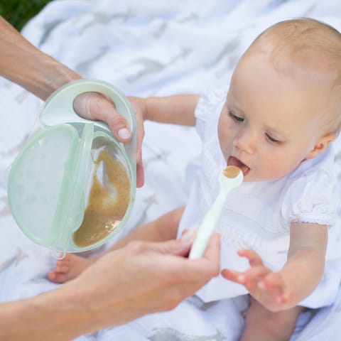 Dr. Brown's Travel Fresh Bowl and Snap-in Spoon, Divided Bowl with Spoon for Toddler Feeding On the Go, BPA Free, 4m+