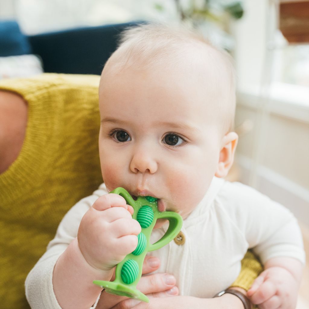 Dr. Brown's Peapod Teether and Training Toothbrush, Soft and Safe for Baby Gums and First Teeth, BPA Free, 100% Silicone, 3m+