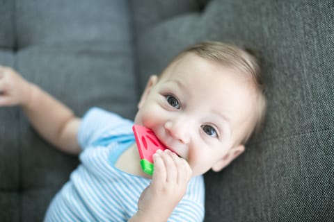 Dr. Brown's Coolees Watermelon Teether