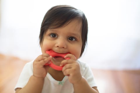 Dr. Brown's Flexees Friends Silicone Teether, Orange Fox