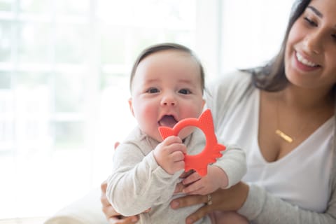 Dr. Brown's Flexees Friends Silicone Teether, Orange Fox