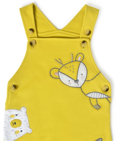 Mi Arcus Full Sleeve Top with Dungaree Set for Kids