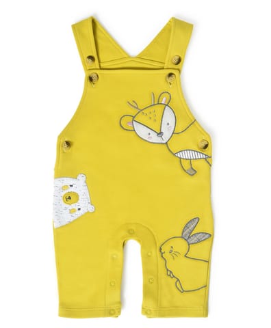Mi Arcus Full Sleeve Top with Dungaree Set for Kids