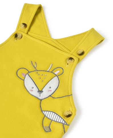 Mi Arcus Full Sleeve Top with Dungaree Set for Kids