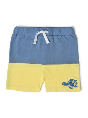 Mi Arcus Blue Collar Tshirt with Short Set for Kids