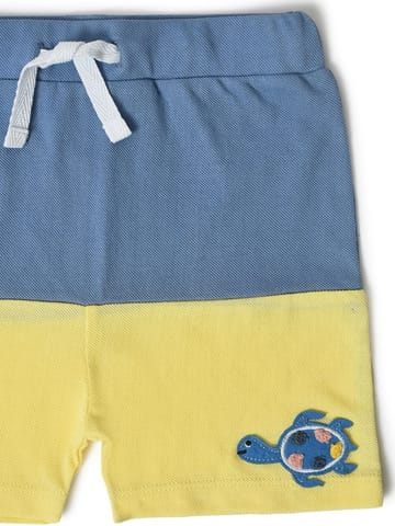Mi Arcus Blue Collar Tshirt with Short Set for Kids