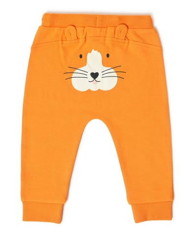 Mi Arcus Printed Orange Sweatshirt with Pyjama Set for Kids