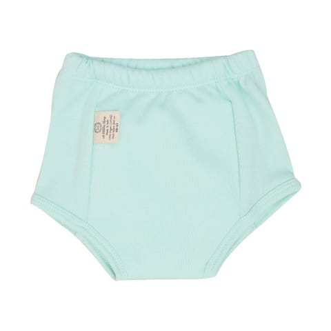 A Toddler Thing Ultra Undies -  Turtely Blue