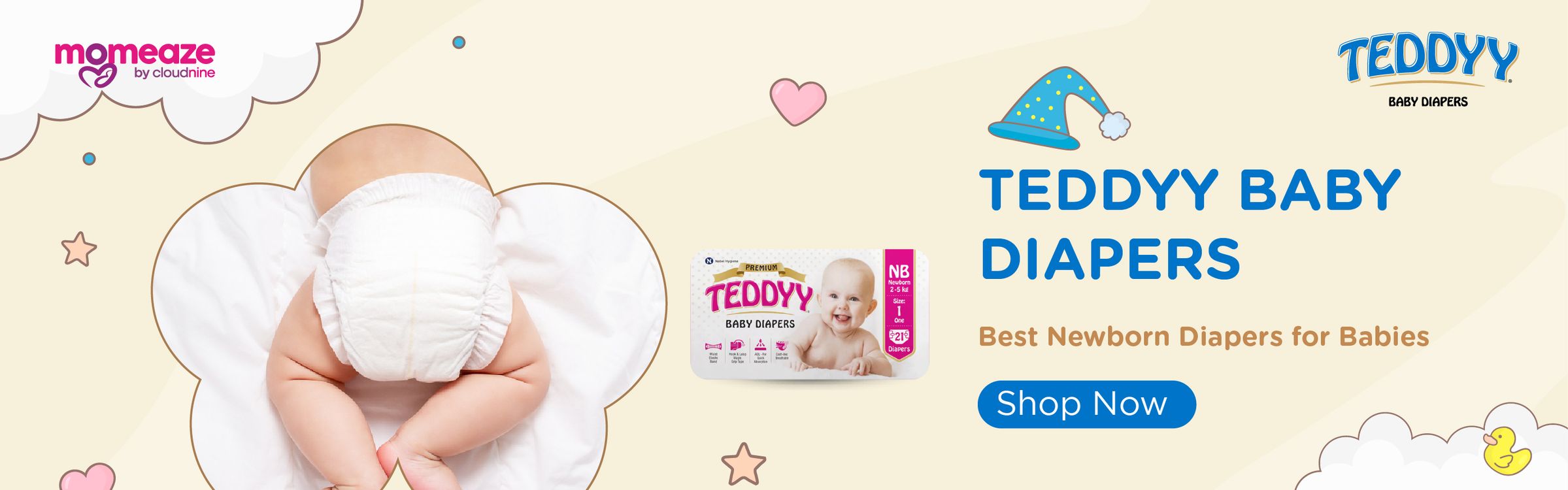 teddyy web