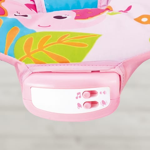 Music Vibrations Bouncer