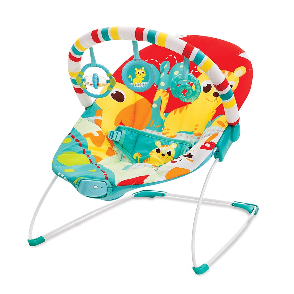 Soothing Vibration Bouncer