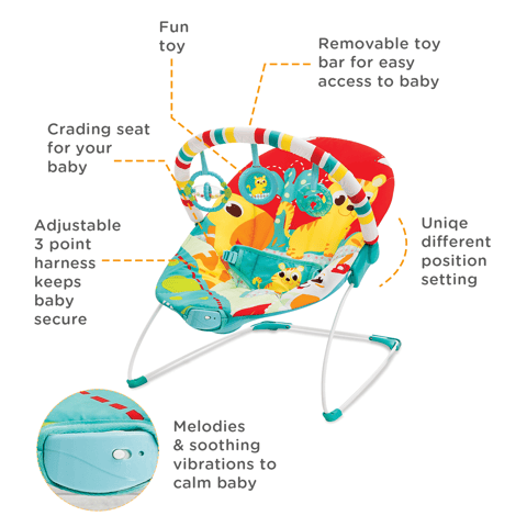 Soothing Vibration Bouncer