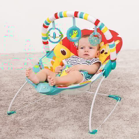 Soothing Vibration Bouncer